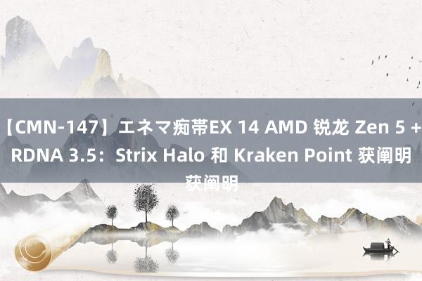 【CMN-147】エネマ痴帯EX 14 AMD 锐龙 Zen 5 + RDNA 3.5：Strix Halo 和 Kraken Point 获阐明