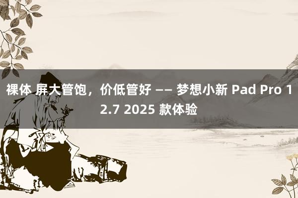 裸体 屏大管饱，价低管好 —— 梦想小新 Pad Pro 12.7 2025 款体验