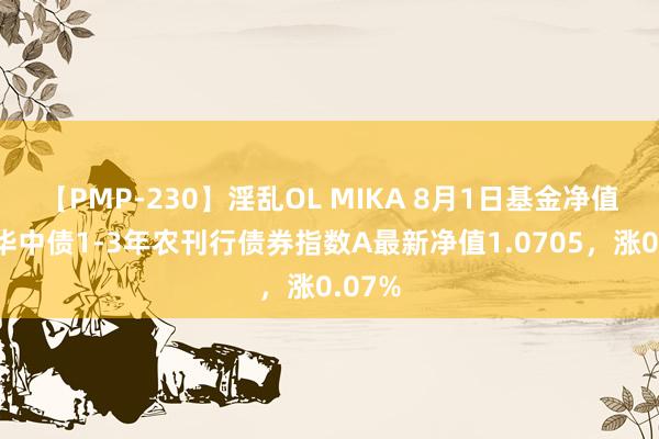 【PMP-230】淫乱OL MIKA 8月1日基金净值：鹏华中债1-3年农刊行债券指数A最新净值1.0705，涨0.07%