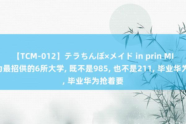 【TCM-012】テラちんぽ×メイド in prin MIKA 华为最招供的6所大学， 既不是985， 也不是211， 毕业华为抢着要