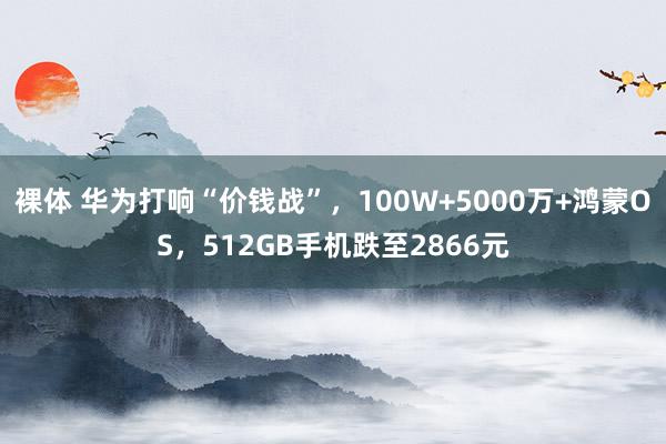 裸体 华为打响“价钱战”，100W+5000万+鸿蒙OS，512GB手机跌至2866元