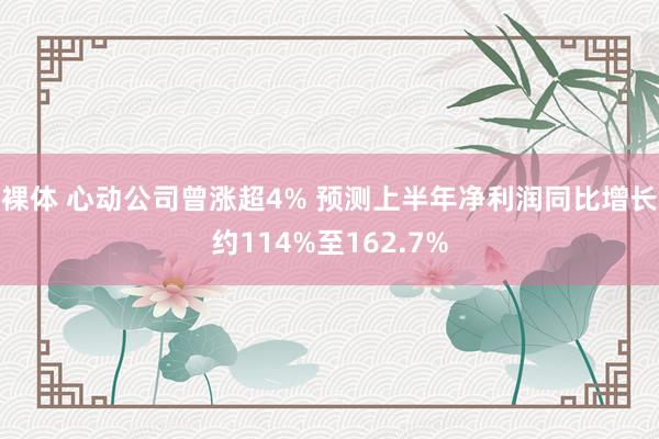 裸体 心动公司曾涨超4% 预测上半年净利润同比增长约114%至162.7%