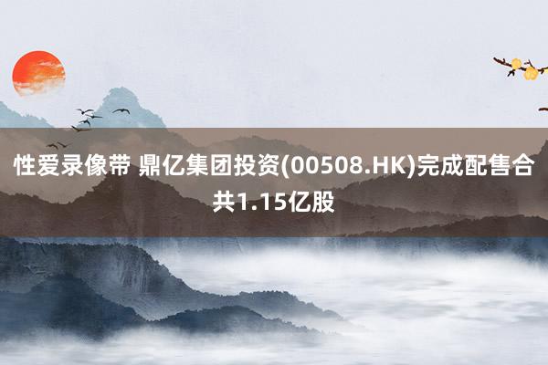 性爱录像带 鼎亿集团投资(00508.HK)完成配售合共1.15亿股