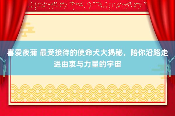 喜爱夜蒲 最受接待的使命犬大揭秘，陪你沿路走进由衷与力量的宇宙