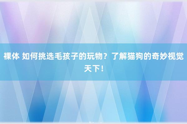 裸体 如何挑选毛孩子的玩物？了解猫狗的奇妙视觉天下！