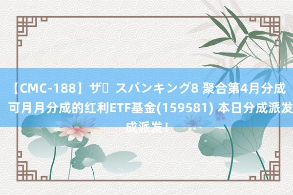 【CMC-188】ザ・スパンキング8 聚合第4月分成，可月月分成的红利ETF基金(159581) 本日分成派发！