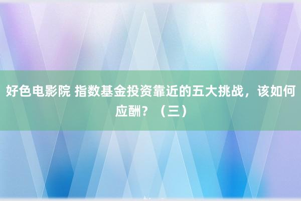 好色电影院 指数基金投资靠近的五大挑战，该如何应酬？（三）