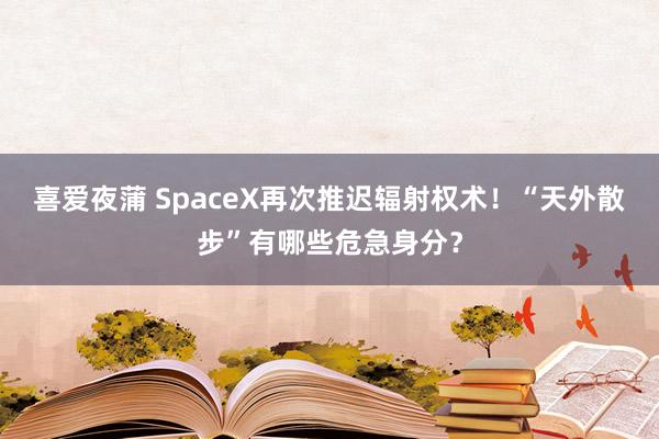 喜爱夜蒲 SpaceX再次推迟辐射权术！“天外散步”有哪些危急身分？