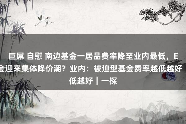 巨屌 自慰 南边基金一居品费率降至业内最低，ETF基金迎来集体降价潮？业内：被迫型基金费率越低越好︱一探