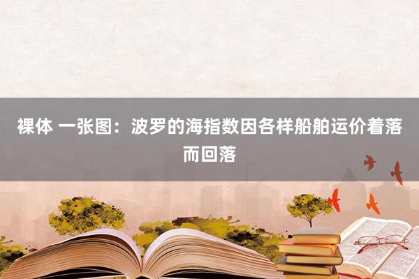 裸体 一张图：波罗的海指数因各样船舶运价着落而回落