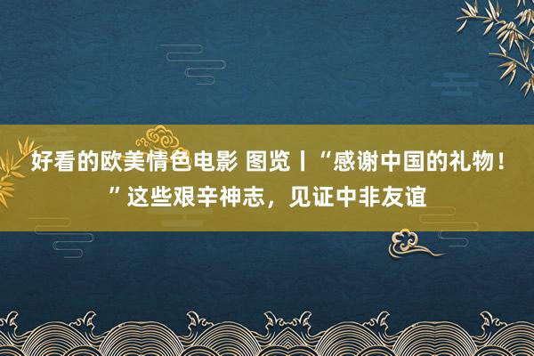 好看的欧美情色电影 图览丨“感谢中国的礼物！”这些艰辛神志，见证中非友谊