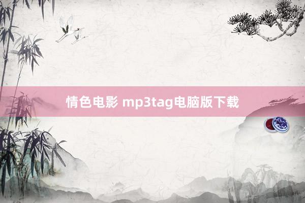 情色电影 mp3tag电脑版下载