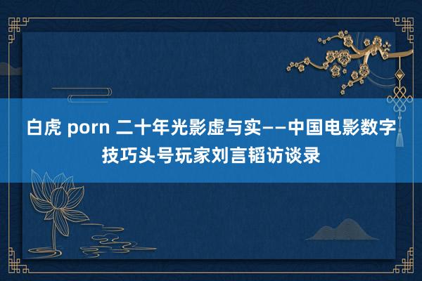 白虎 porn 二十年光影虚与实——中国电影数字技巧头号玩家刘言韬访谈录