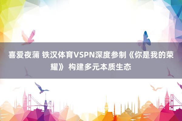 喜爱夜蒲 铁汉体育VSPN深度参制《你是我的荣耀》 构建多元本质生态