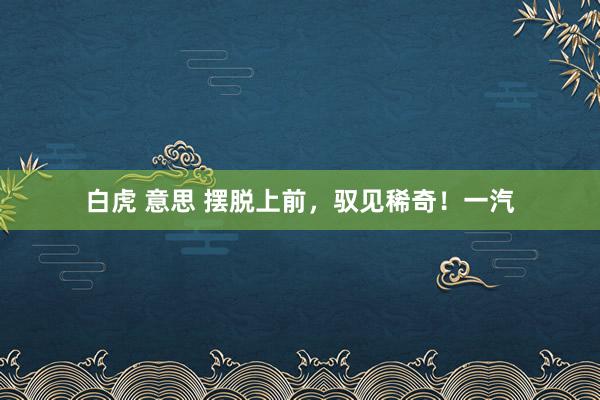 白虎 意思 摆脱上前，驭见稀奇！一汽