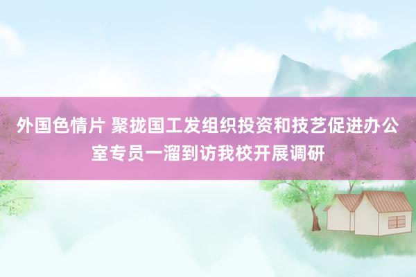 外国色情片 聚拢国工发组织投资和技艺促进办公室专员一溜到访我校开展调研